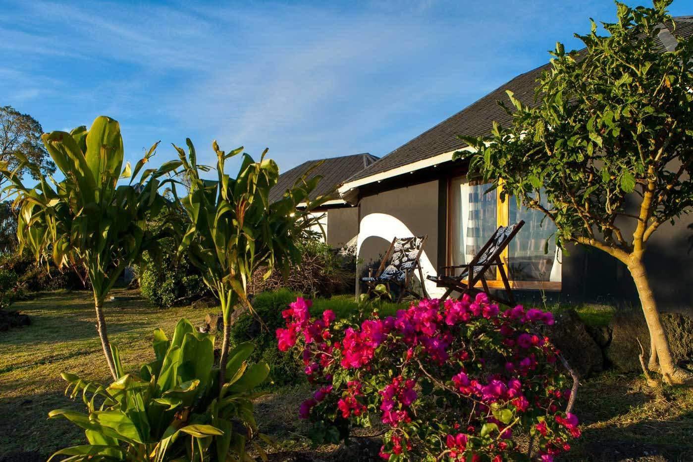 Altiplanico Rapa Nui Hanga Roa Exterior foto